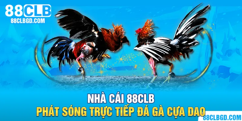 88CLB mang đến cho kê thủ trải nghiệm đẳng cấp chưa từng có