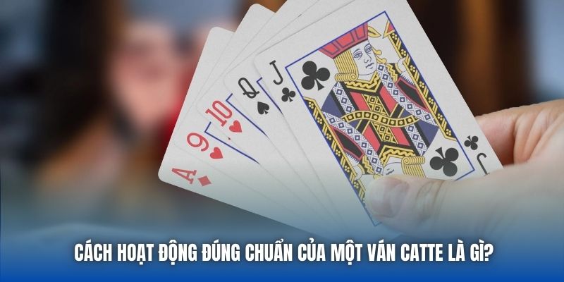 Cách hoạt động đúng chuẩn của một ván Catte là gì?