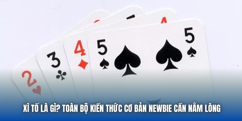 Xì Tố Là Gì? Toàn Bộ Kiến Thức Cơ Bản Newbie Cần Nằm Lòng