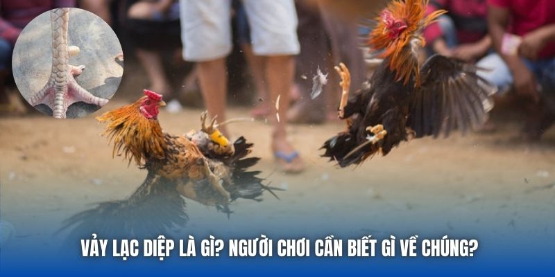 Vảy Lạc Diệp Là Gì? Người Chơi Cần Biết Gì Về Chúng?