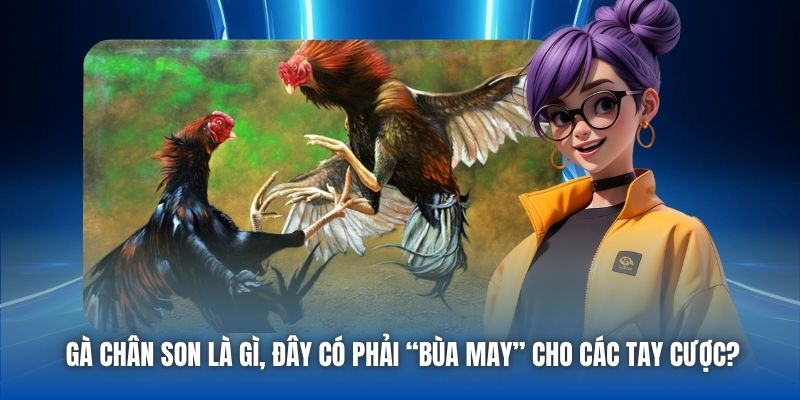 Gà chân son là gì, đây có phải “bùa may” cho các tay cược?